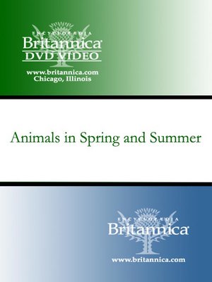 cover image of Animals in Spring and Summer